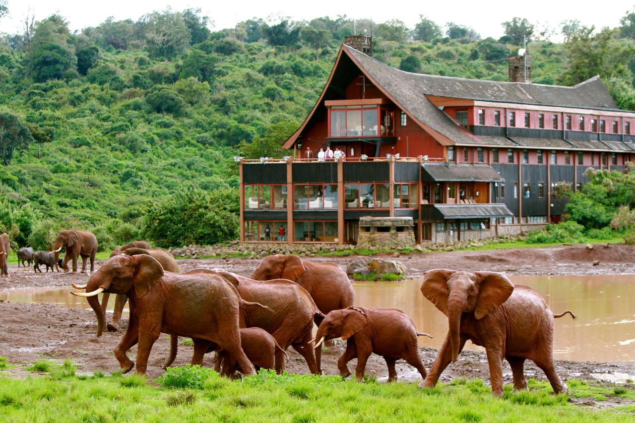 The Ark Lodge Nyeri Luaran gambar
